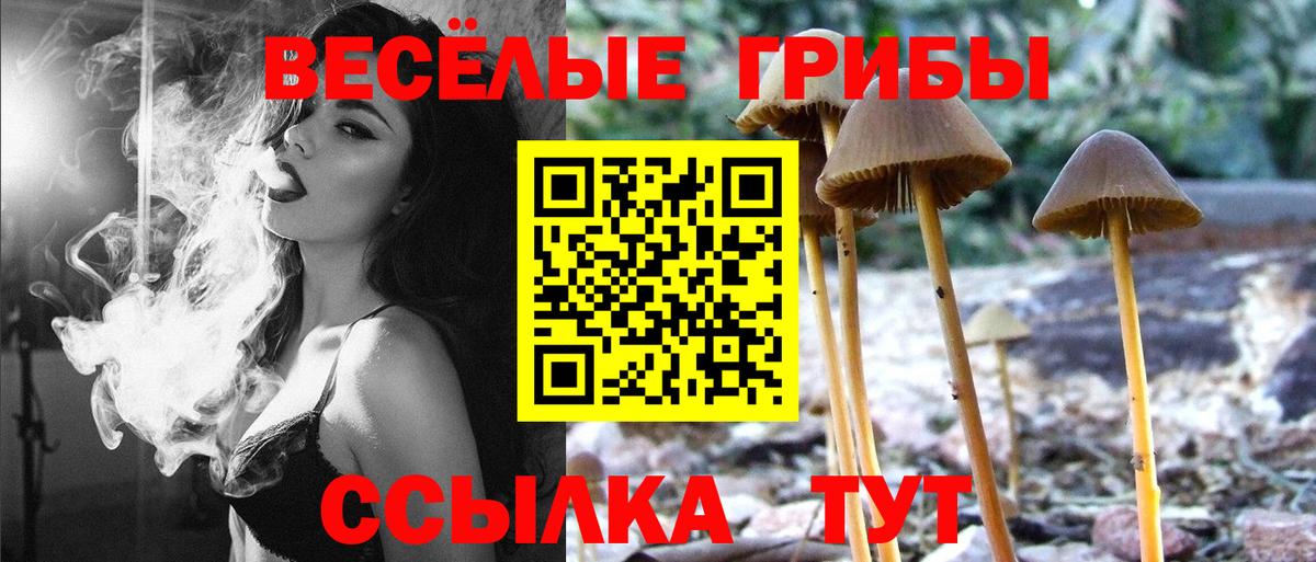 Липецк  Галлюциногенные грибы мухоморы  Галлюциногенные грибы ЛСД  Вход с VPN 