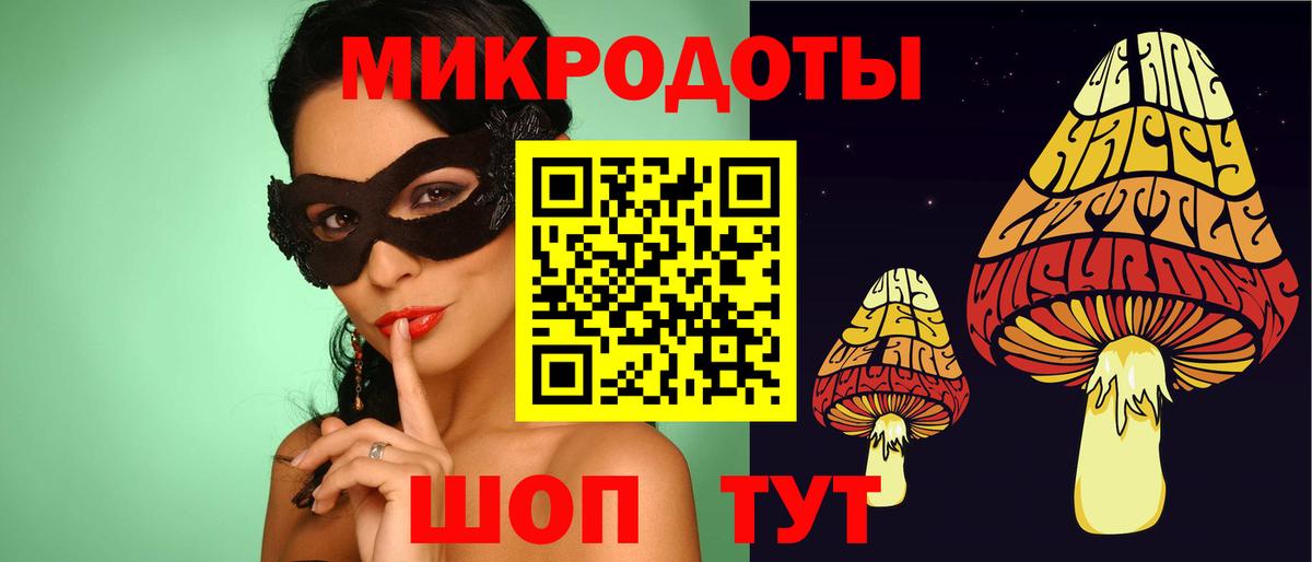 Псилоцибиновые грибы Cubensis Липецк